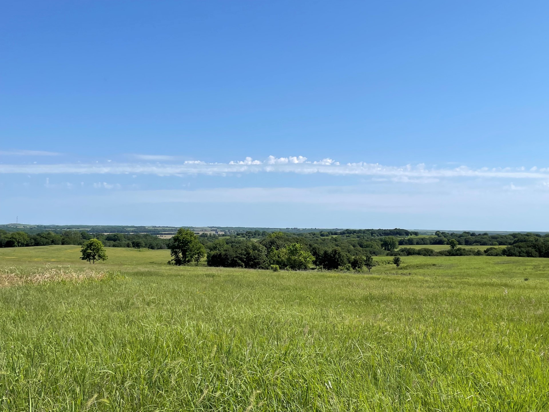 Red Rock Ranch Raising Texas Longhorns